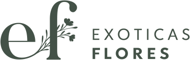 Flores a Domicilio