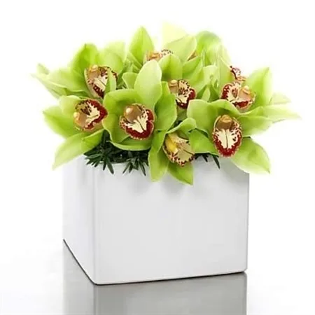 Cubo de Orquideas