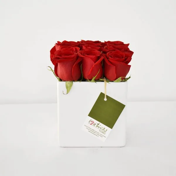 12 rosas rojas premiun en cubo