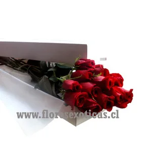 Amor verdadero con rosas importadas 18 varas