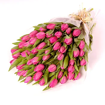 Ramo de Tulipanes