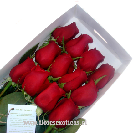 Caja con 24 rosas rojas – Flores a Domicilio