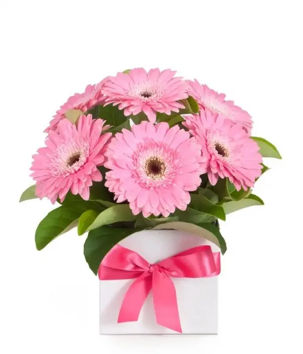 Arreglo con 12 gerberas en base blanca