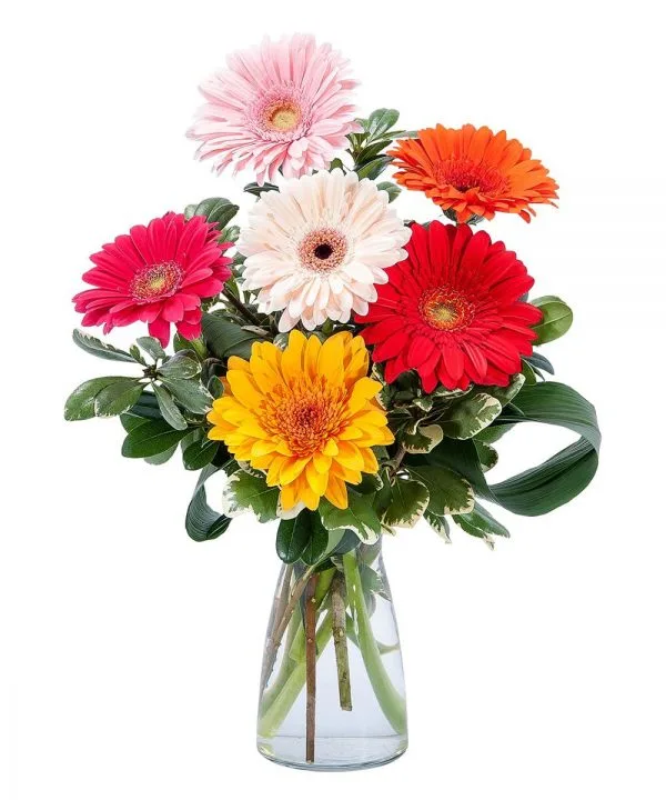 Gerberas en Florero