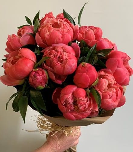 Peonías: la flor de la elegancia y el amor — descubre su encanto con Exóticas Flores®