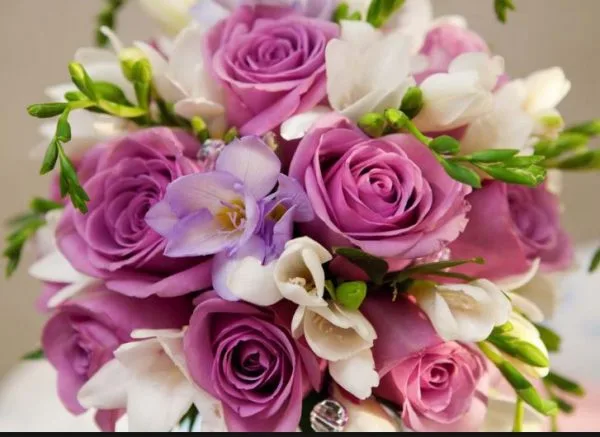 Rosas y Fresias