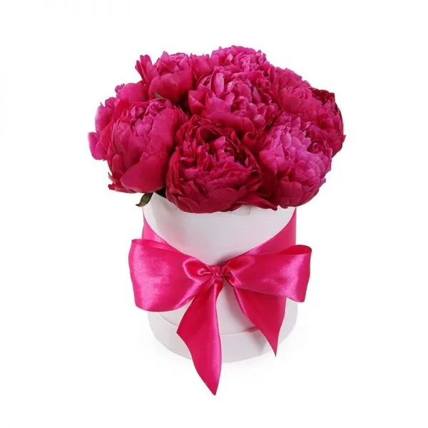 Cilindro Blanco con 10 Peonias Fucsias