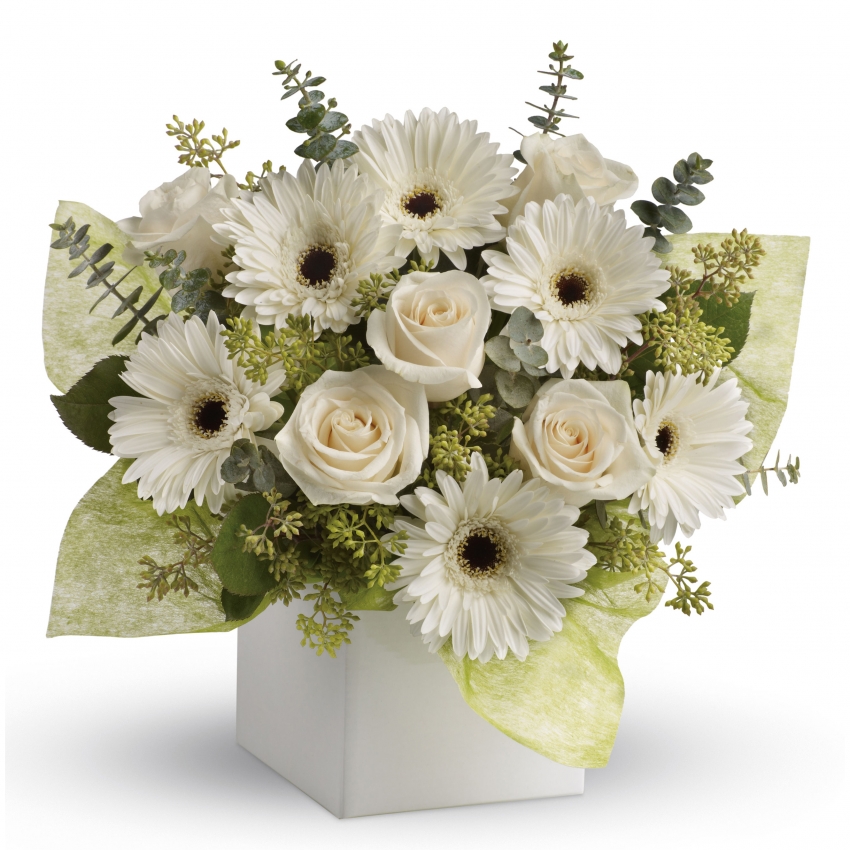 Cubo con Rosas y Gerberas Blancas – Flores a Domicilio