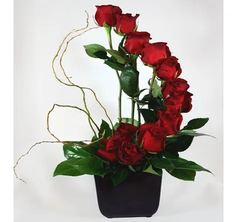 Espiral con 12 Rosas Rojas en base Cubo