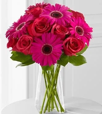 Florero con Rosas y Gerberas Fucsias