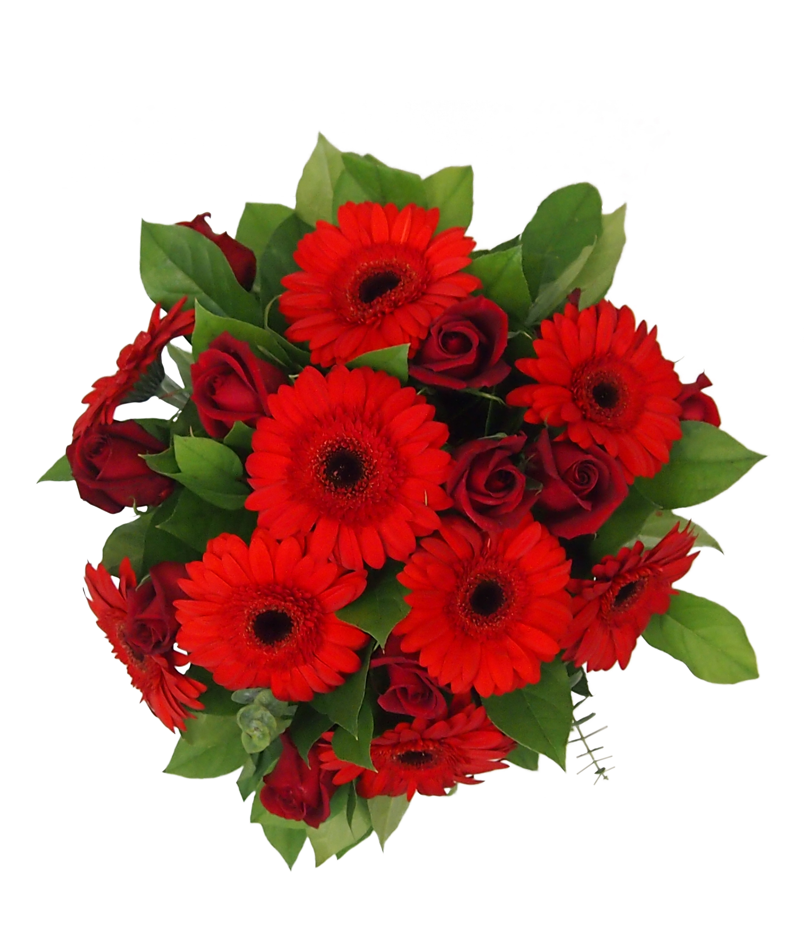 Ramo circular Rosas y Gerberas Rojas Pasión – Flores a Domicilio