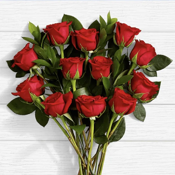 Docena de Rosas Rojas