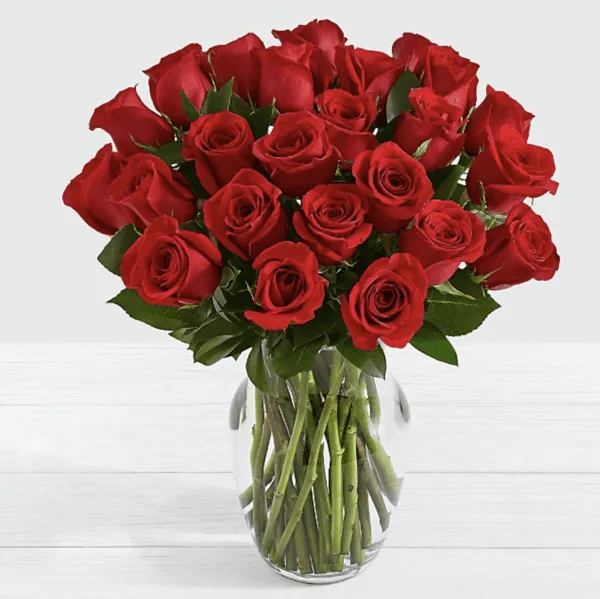 Elegantes rosas rojas 30 varas