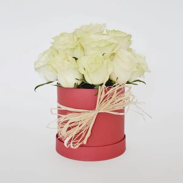 Cilindro de Rosas Blancas