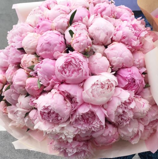 Ramo 50 peonias maravillosas – Flores a Domicilio