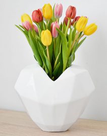 tulipan-cat