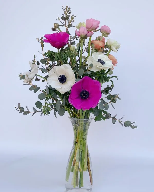 Flores que iluminan