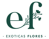 Flores a Domicilio