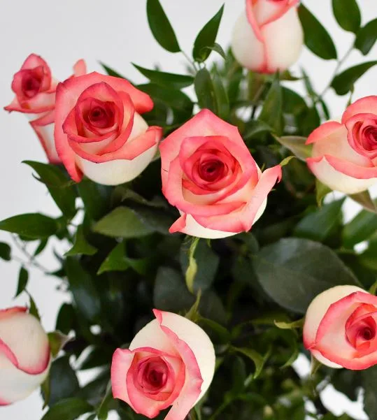 Rosas en Vidrio