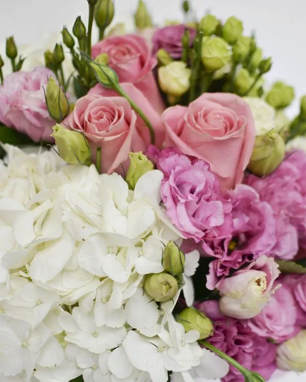 Macizo de flores elegantes