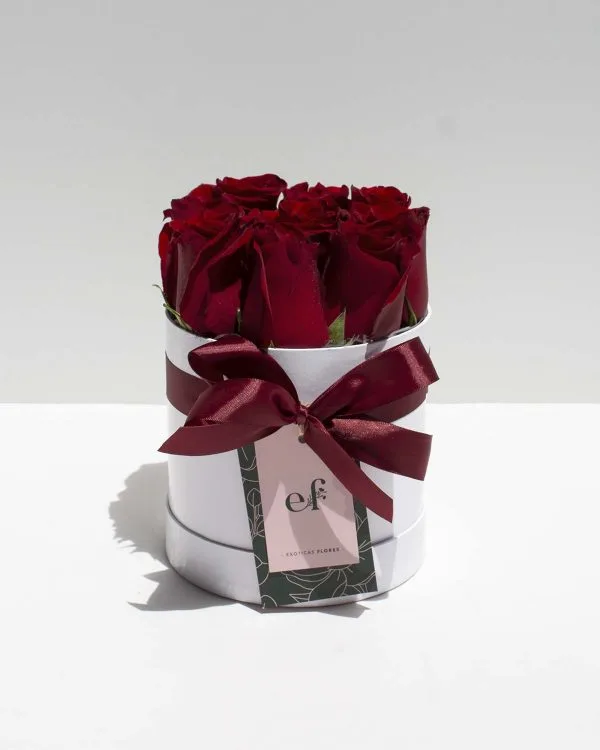 box rosas rojas