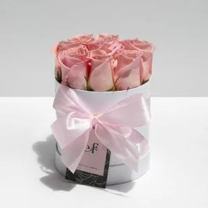 Box Rosas Rosadas