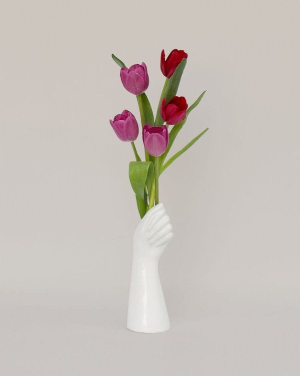 Tulipanes para regalar
