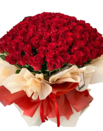 200 rosas para regalar