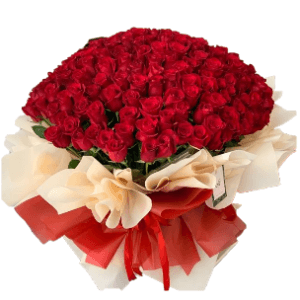 200 rosas naturales