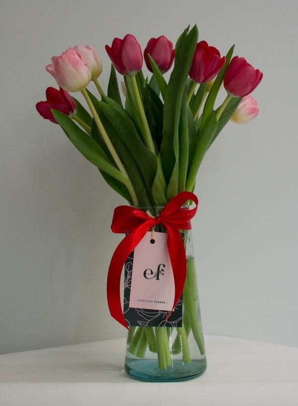 10 Tulipanes en florero
