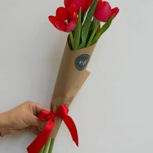 Envio de Tulipanes