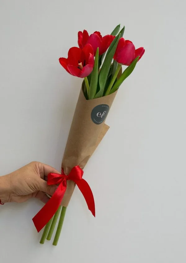 Envio de Tulipanes