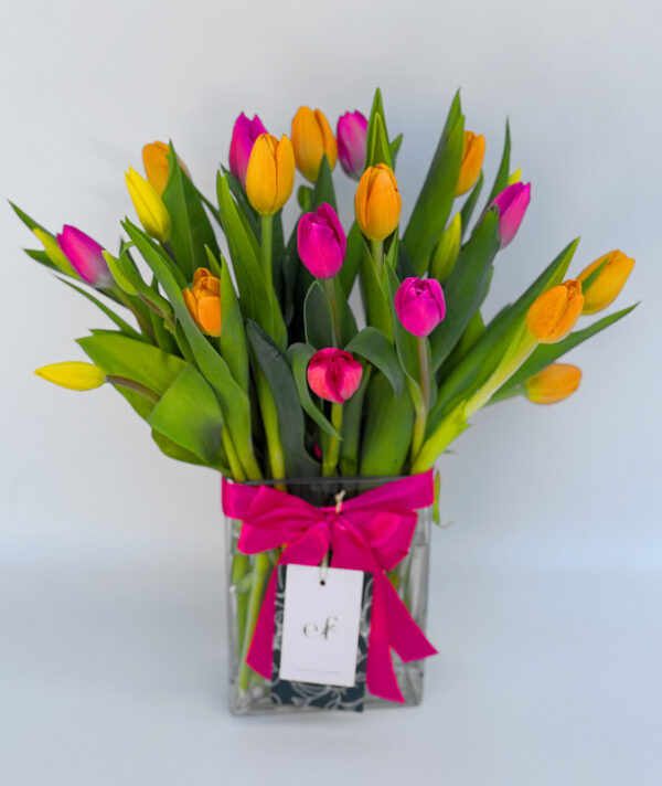 25 Tulipanes de Colores