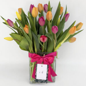 25 Tulipanes en Florero
