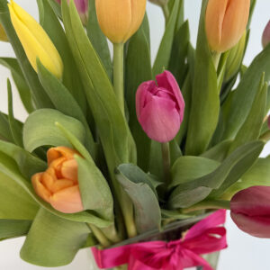 25 Tulipanes en Florero