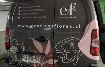 Enviar flores desde el extranjero es más fácil de lo que imaginas